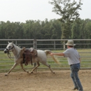 West Plains Horse Boarding - Horse Boarding