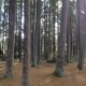 Kitsap Memorial State Park