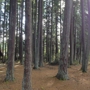 Kitsap Memorial State Park