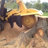 DM Tree Service gallery