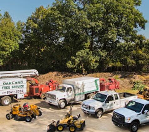 Oakland Tree Service - Rochester Hills, MI