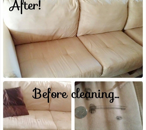 The Carpet Cleaning Guy - Medford, NY