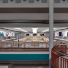 Apple Syracuse