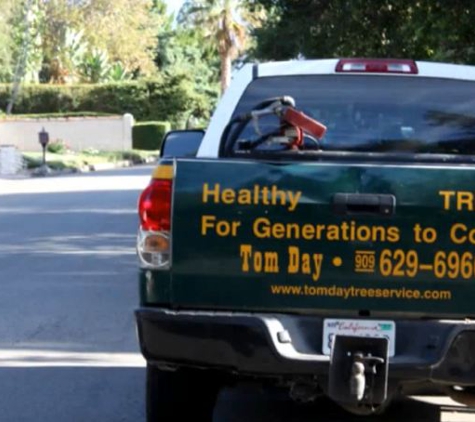 Tom Day Tree Service - Upland, CA