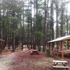 Mormon Lake Lodge gallery