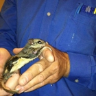 Trappro Humane Wildlife Removal