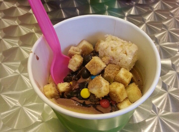 Brainfreeze Frozen Yogurt - Canton, GA