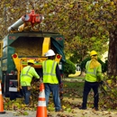 Nilo Landscape Co - Stump Removal & Grinding