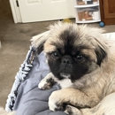 Davies Animal Medical Hospital - Veterinary Clinics & Hospitals