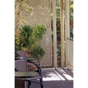 Gallery Image Number 5