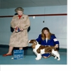 Kalero Dog Obedience School gallery