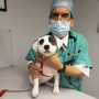 City Animal Hospital