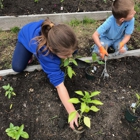 The Brookside School