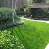 Grass Doctor Landscape Inc gallery