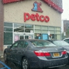 Petco gallery