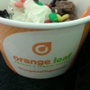 Orange Leaf Frozen Yogurt gallery