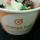 Orange Leaf Frozen Yogurt