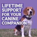 The Dog Wizard Round Rock - Dog Training
