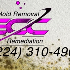 ECC Mold Removal & Remediation of Hanover Park / Bloomingdale