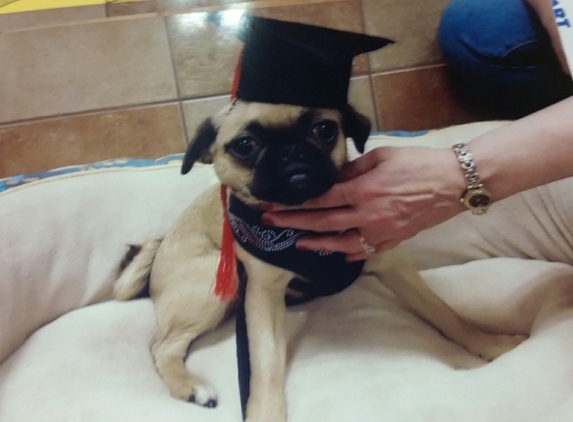 Paws-N-Claws - Abilene, KS. Layla is a service dog.