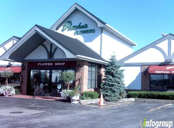 Pesches Flowers - Des Plaines, IL