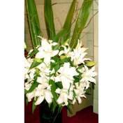 Gallery Image Number 6