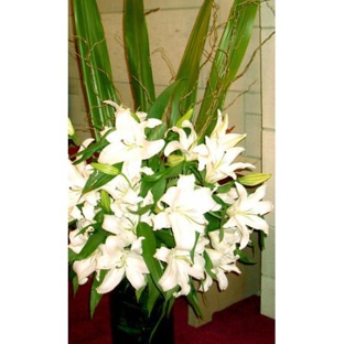 Westbreen Florist - Pascoe Vale, VIC