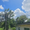 Jax Pro Tree Services gallery