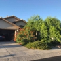 La Cholla Landscaping