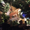 Rainforest Cafe gallery