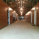 Dutch Meadow Farms - Horse Training