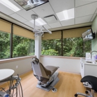 Willow Tree Pediatric Dentistry