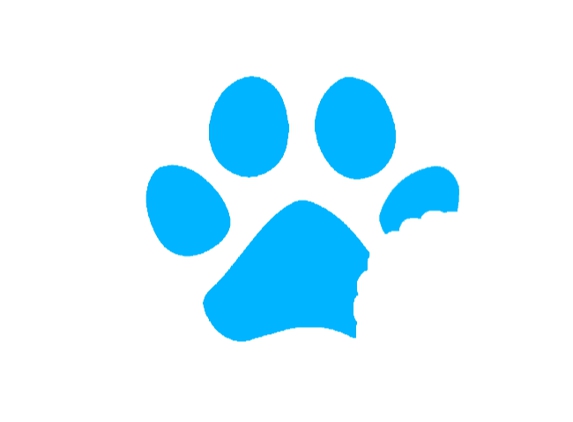 iPaw Pet Salons - Bulverde, TX