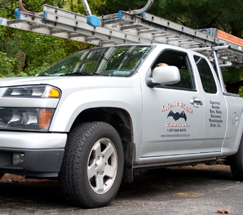 Anderson Wildlife Control LLC - Prospect, CT