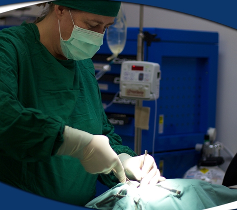Para Hills Veterinary Clinic - Para Hills, SA. Skilled and Compassionate Care When Your Pet Needs it Most