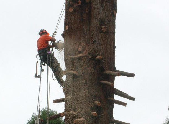 Charleston Tree Service - Mckinleyville, CA