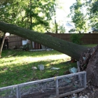 Top Quality Tree Service