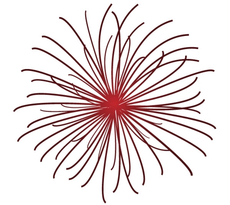 Mayfield Medical Connection - Mayfield, NSW. Our dandelion logo symbolising connection for health.