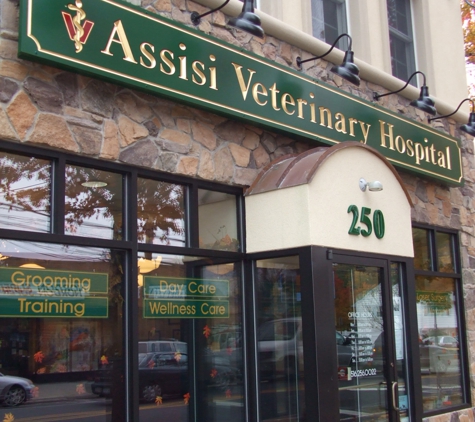 Assisi Veterinary Hospital - Malverne, NY
