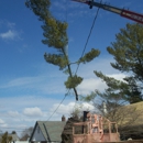 Guardian Tree Co - Tree Service