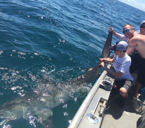 FISHMISSHAYDEN - Fort Myers, FL. 14 foot long 1000 pound Tiger Shark caught aboard SANIBEL OFFSHORE FISHING CHARTERS - FISH MISS HAYDEN