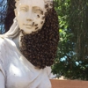 ASAP Bee Removal gallery
