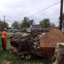 Mike Litke's Tree Service - Tree Service