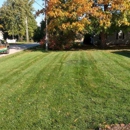 Vanvleets Clean Cut Lawn Care - Lawn Maintenance