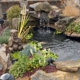 Turf & Garden Landscaping Inc