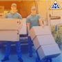 Alpine Moving Company