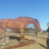 Garrod Farms Riding Stables gallery