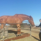 Garrod Farms Riding Stables