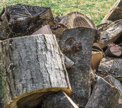 Rich Ley & Company Tree Service - Scotch Plains, NJ