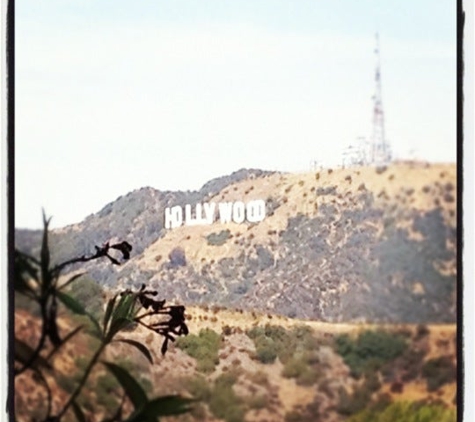 Toyo Griffith Park Florist - Los Angeles, CA